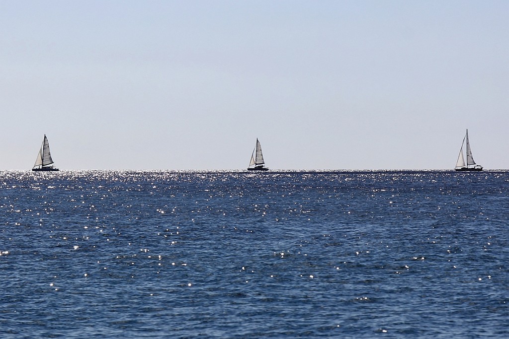 cruise14 (765).jpg